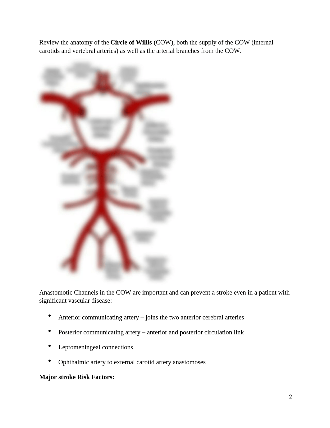 3656697_56666614_5.0Cerebrovascular_Disease_sophomore_neuroscience_2016.docx_dw0xbecjr0l_page2