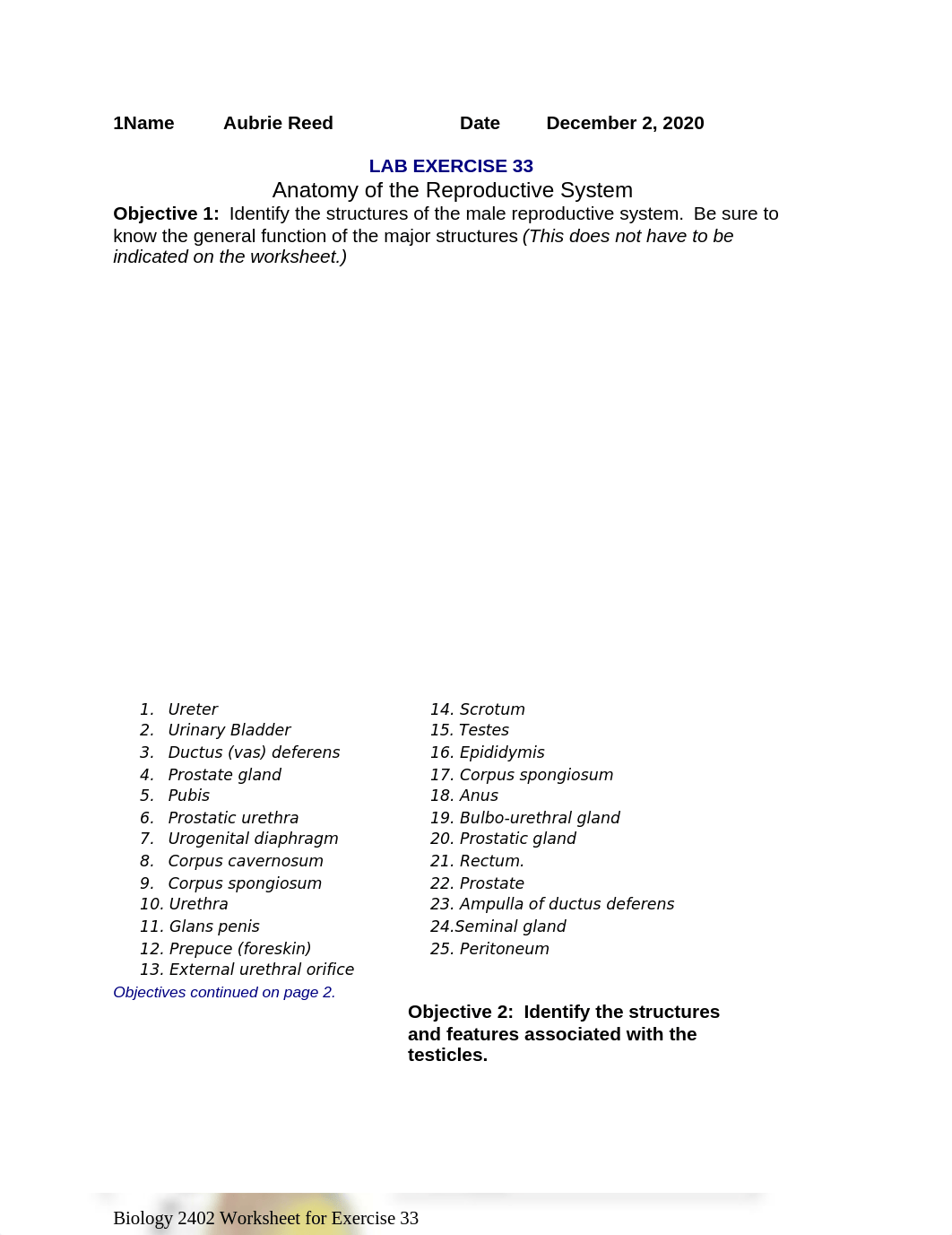 Aubrie Reed Homework Reproductive System Male and Female.docx_dw0y67m4w8r_page1