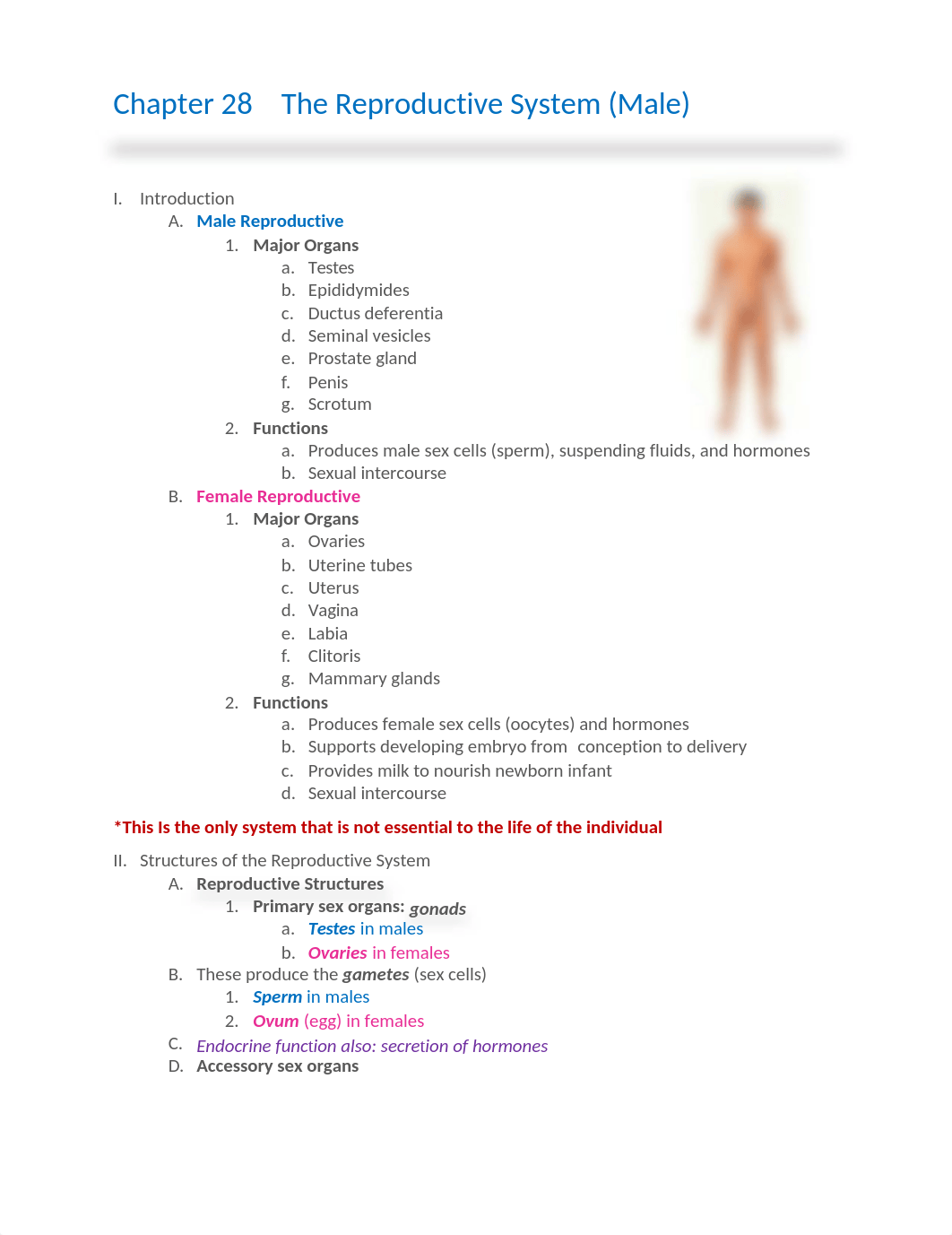 Chapter 28 (Male) powerpoint notes_dw0z5gfpuor_page1