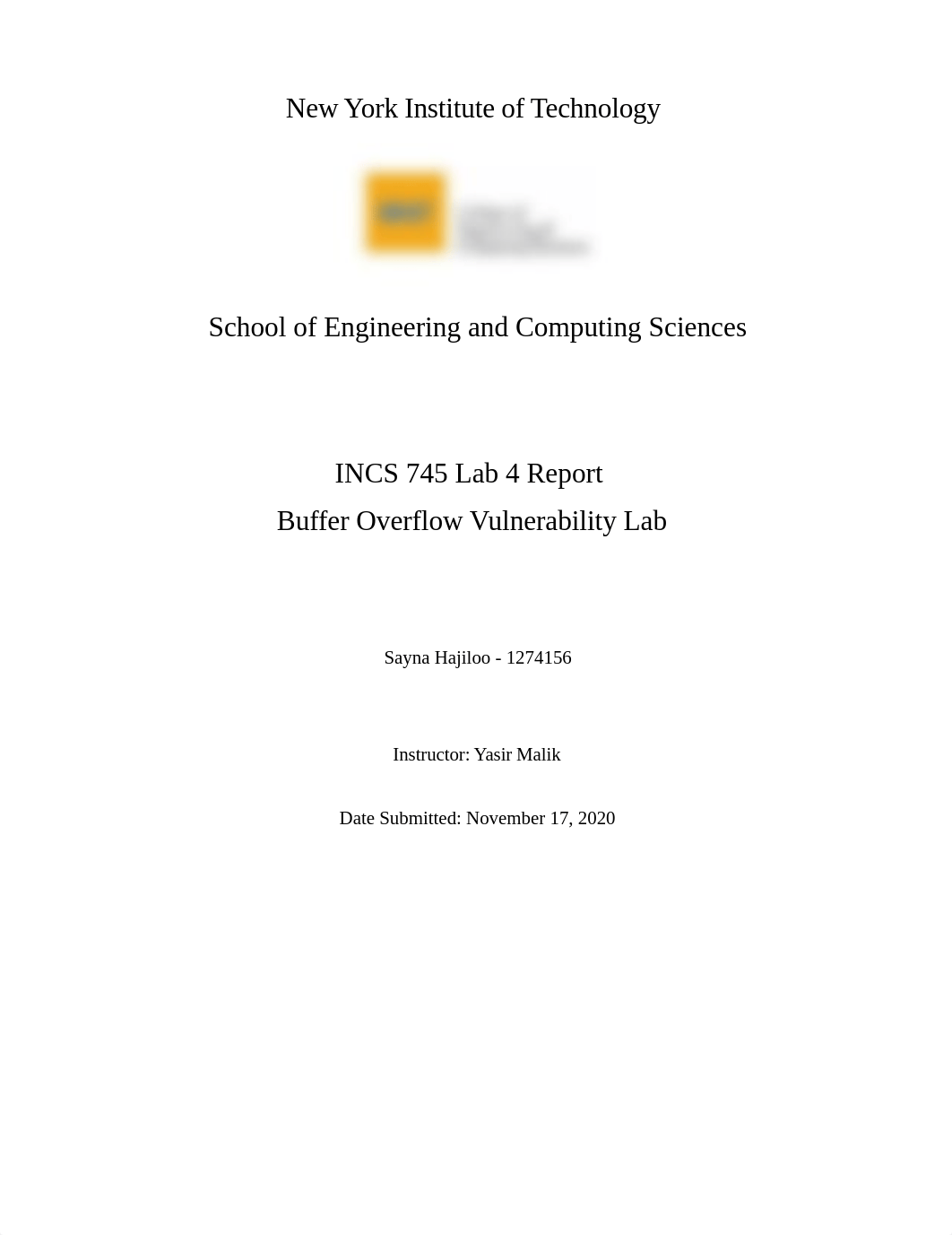 IDS4_Buffer_Overflow_Vulnerability_dw1abnigja7_page1