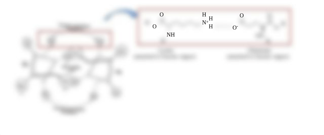 Advanced Concepts Worksheet image 1 (1).pdf_dw1bjwdyqr1_page2