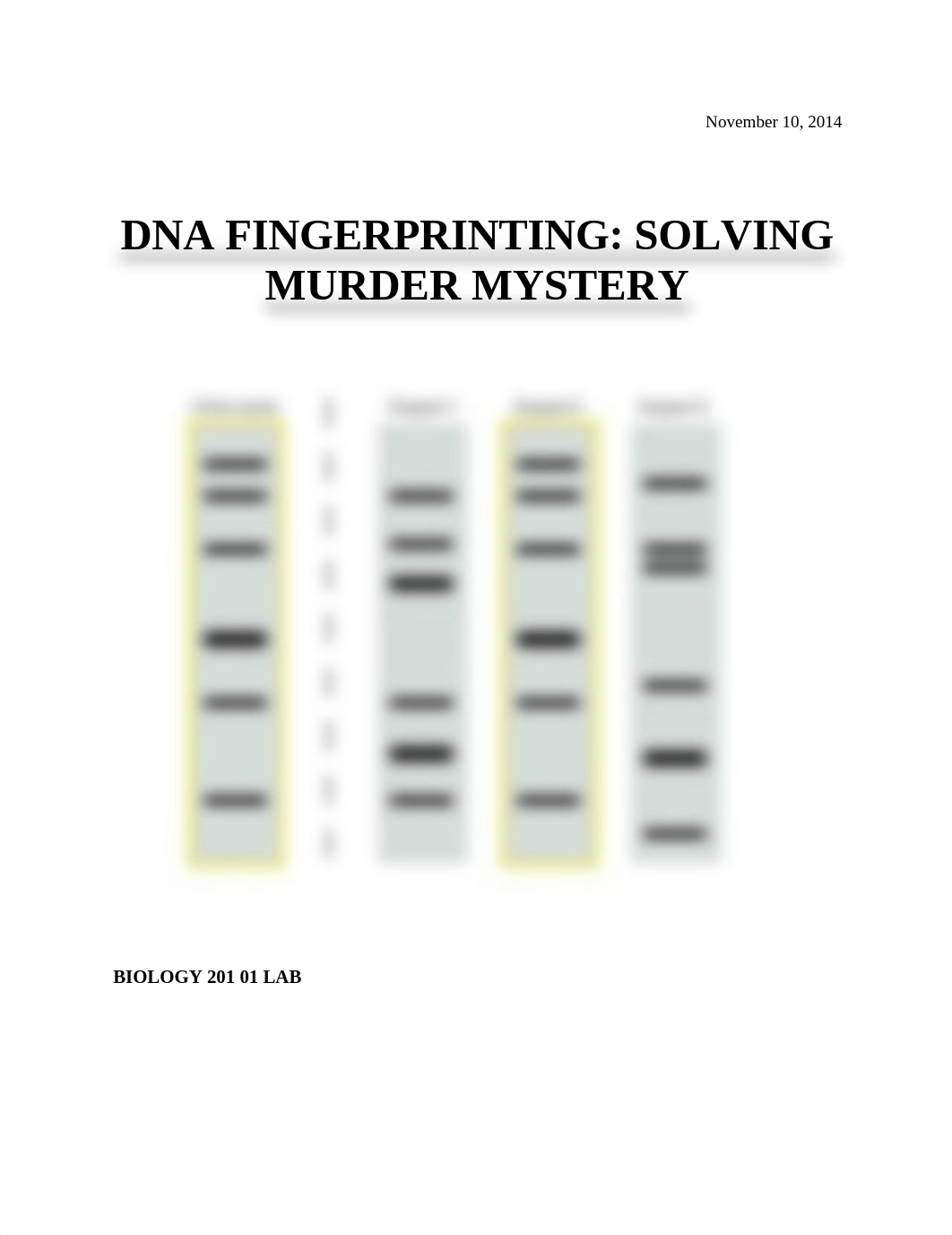 DNA Fingerprinting Lab_dw1fex7c01e_page1