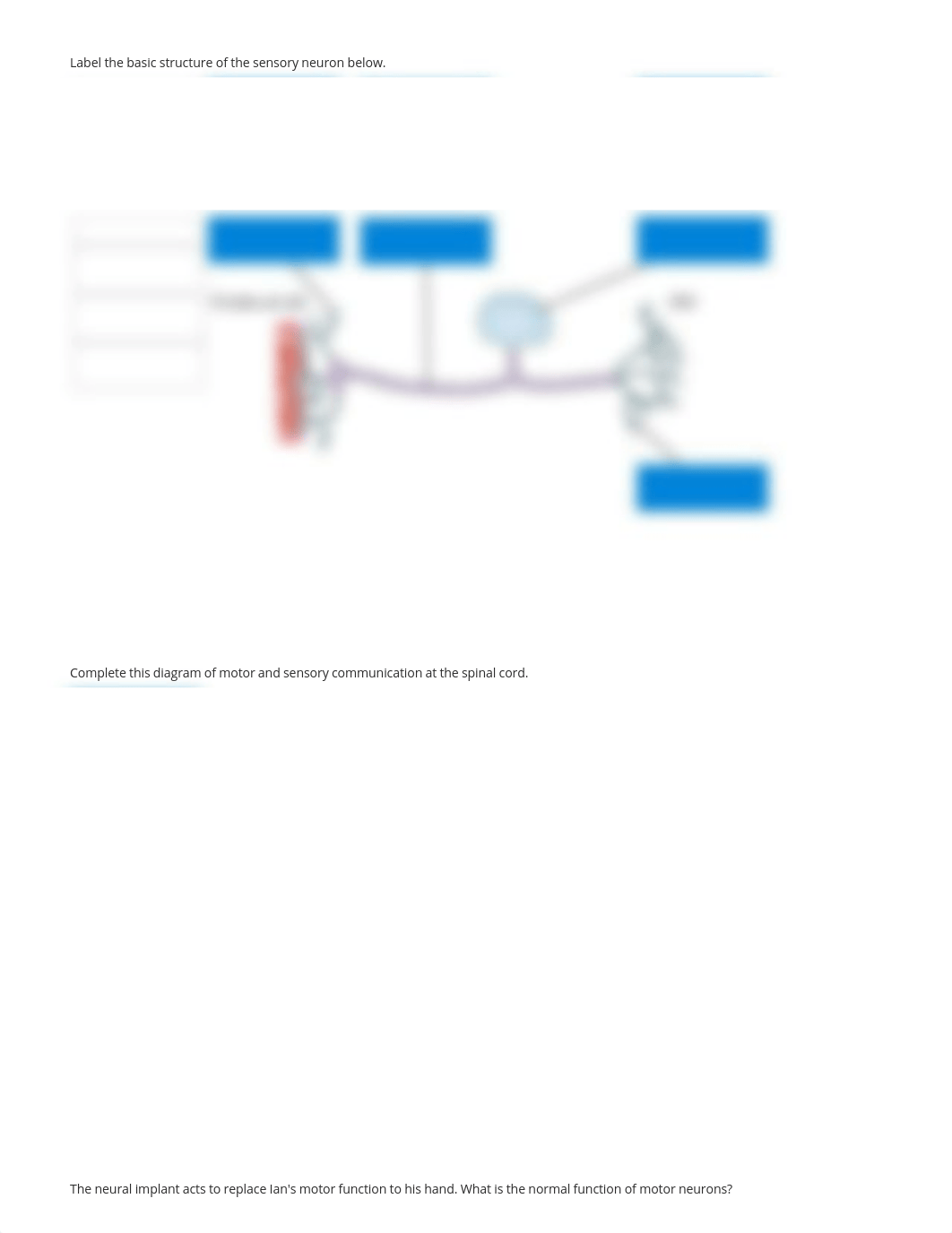 Action Potentials report.pdf_dw1hg460v8l_page2