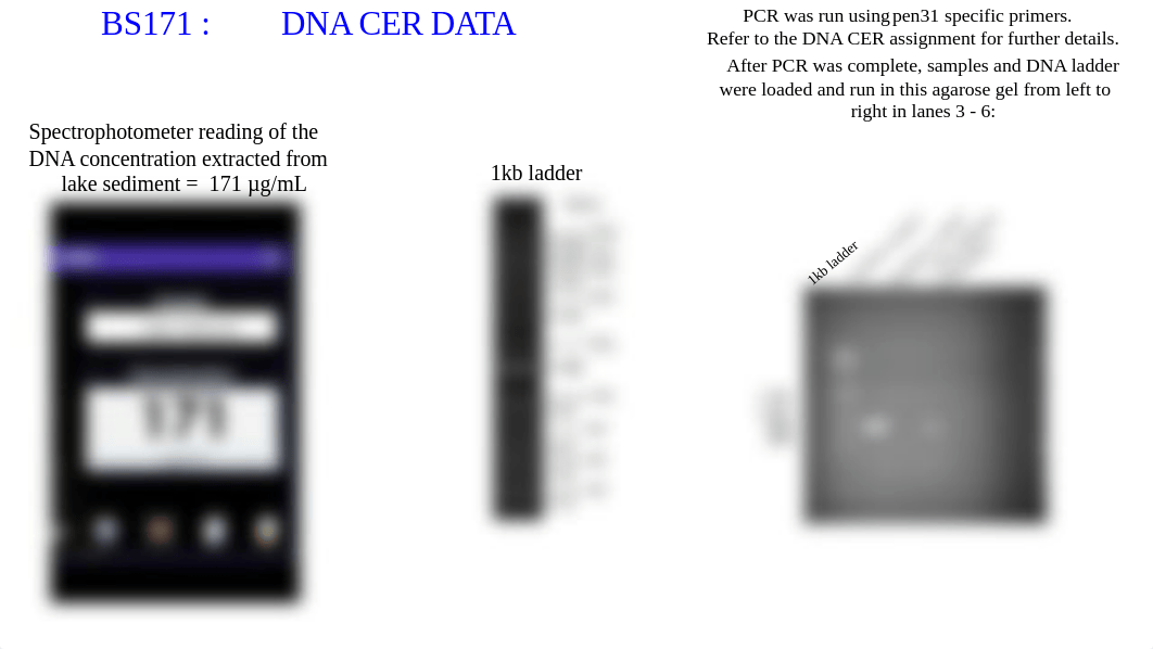 DNA CER DATA F22.pptx_dw1ija23kx8_page1