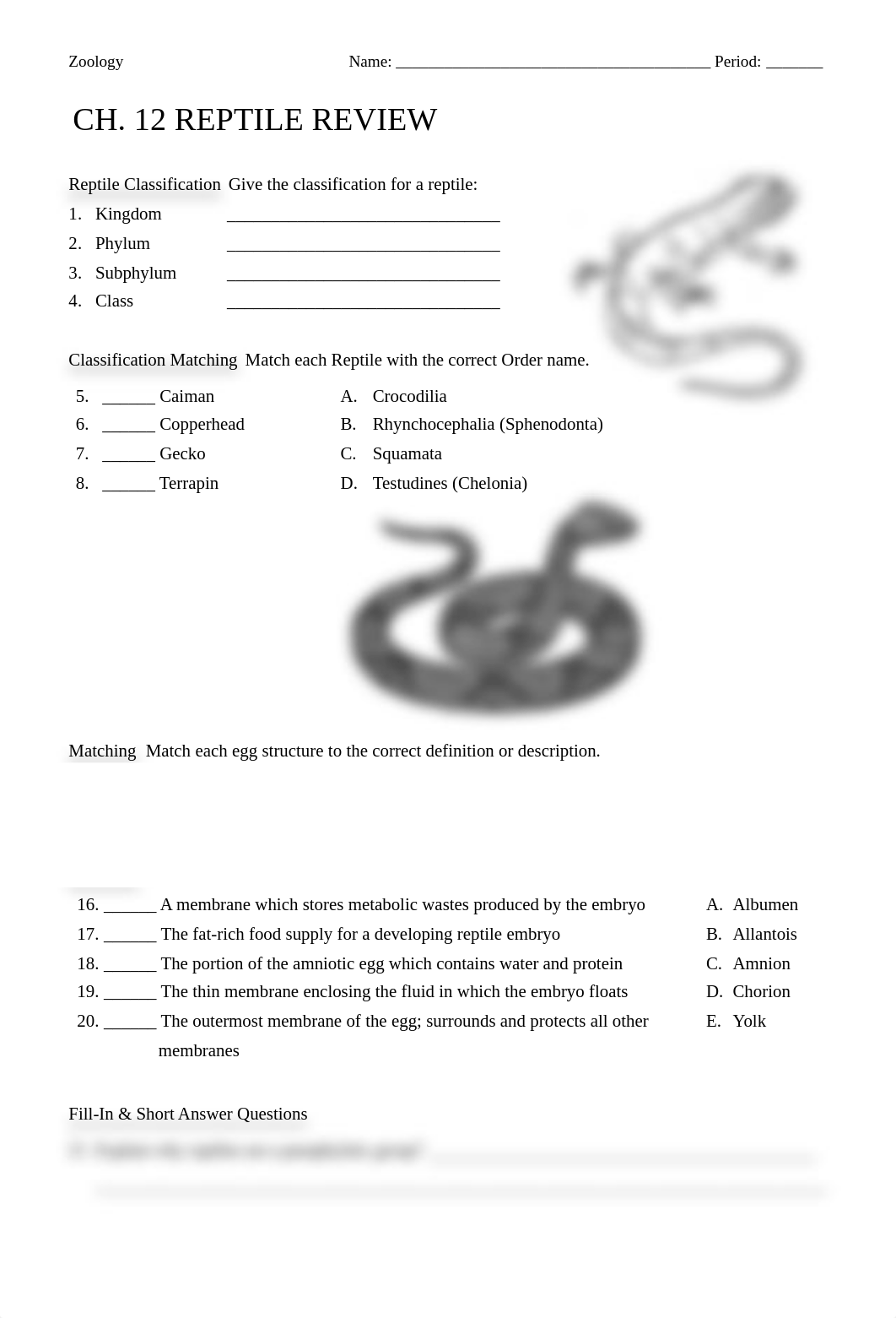 12_ Reptile Review Worksheet.pdf_dw1pn6ggddr_page1