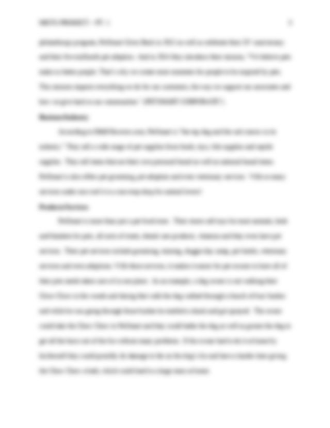 Marketing Project pt 1.docx_dw250ecddo3_page3