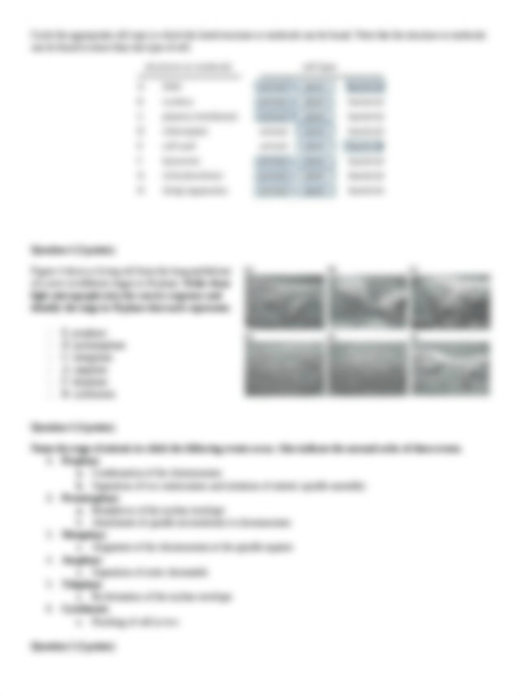 Problem Set #1.docx_dw2a28juulw_page2