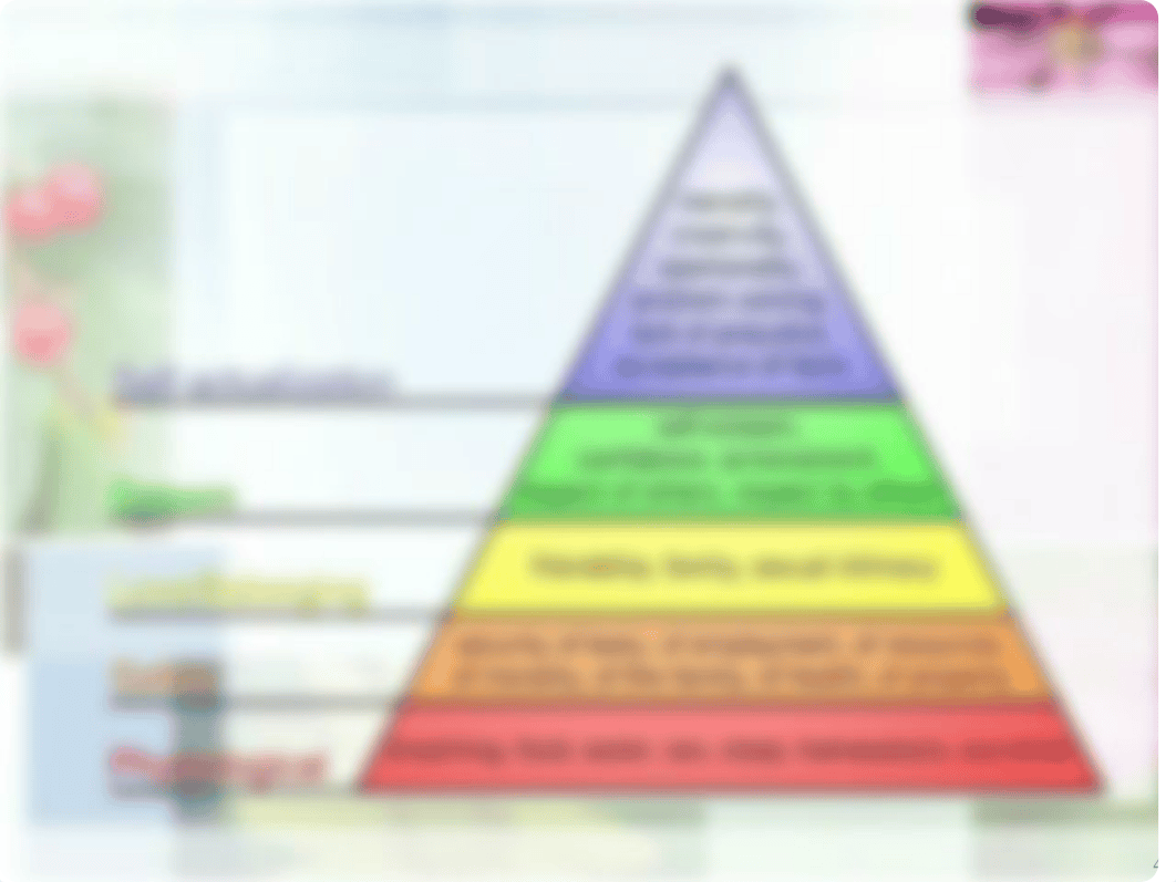 Chapter 1 Mental Health vs Mental Illness (1).pptx_dw2dlzazdd3_page4