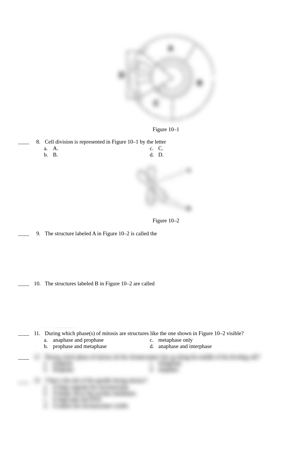 Cell Growth and Division Test-study guide.docx_dw2frk04ul2_page2