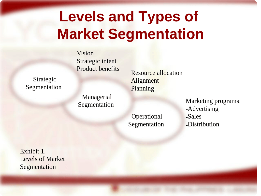 Chapter 3_Strategic Market Segmentation_dw2q8de2wyx_page5