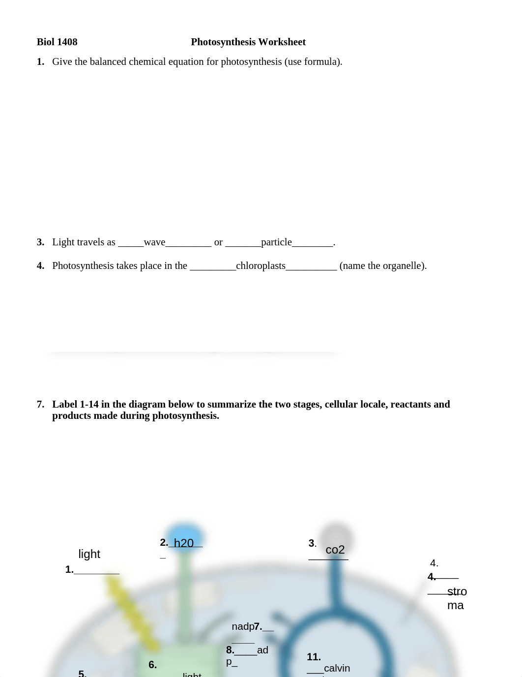 Photosynthesis_Worksheet_dw2thyyvngw_page1