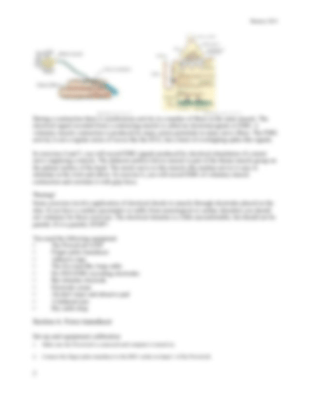 Nerve and Muscle Lab_dw2toje9ihv_page2