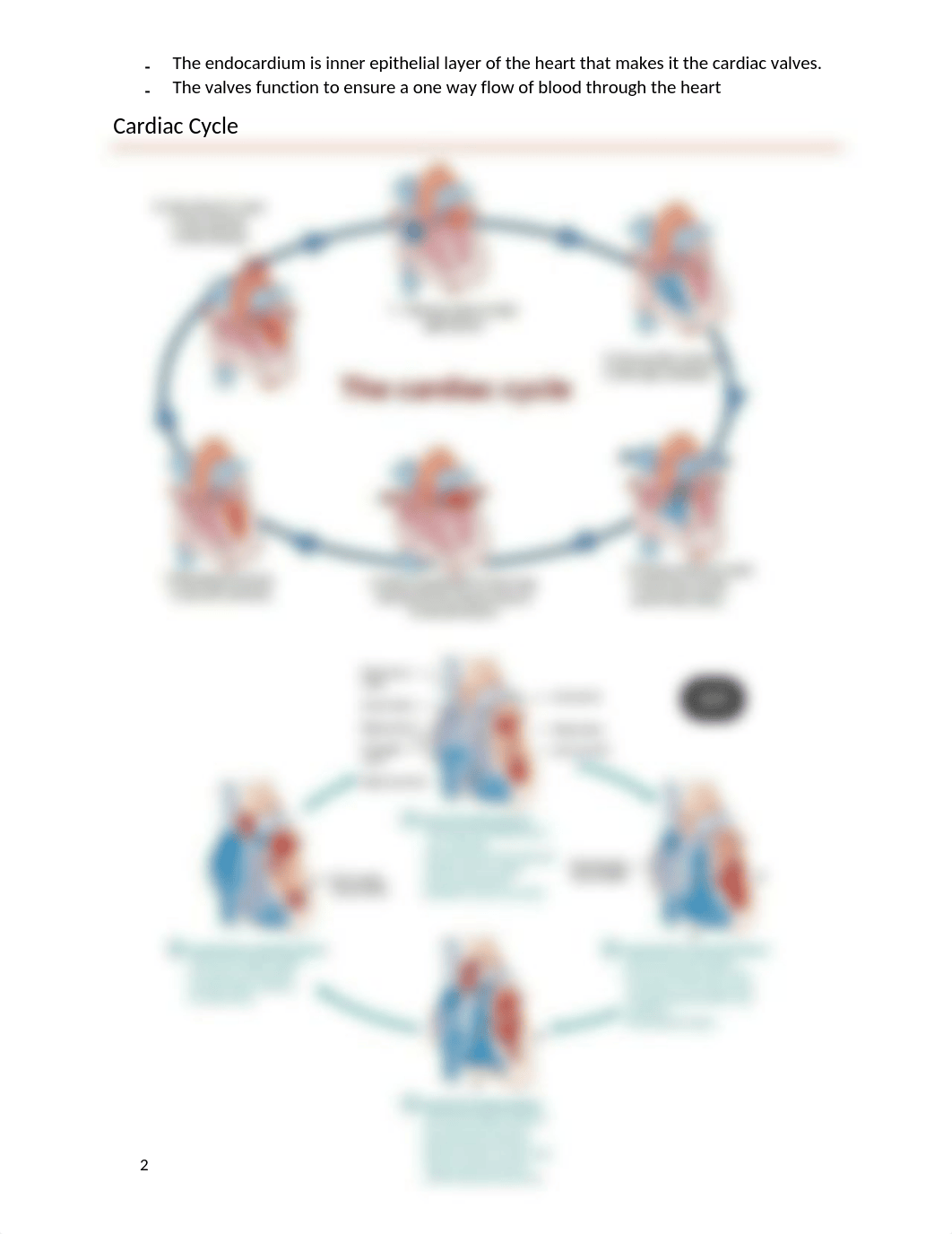 Cardiovascular Function.docx_dw2u1ps05s7_page2