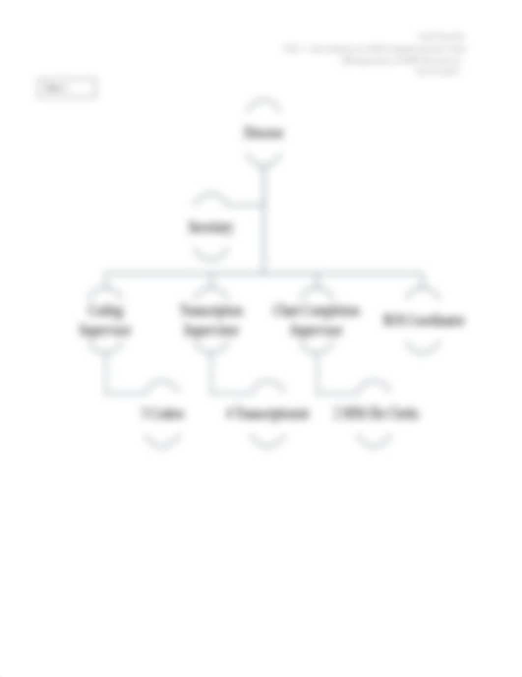 PAT 1_Developing an HIM Organizational Chart.docx_dw2vy2s74d4_page2