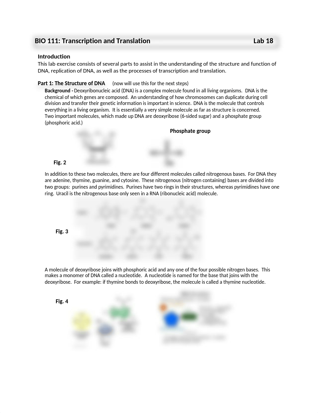 TranscripTranslatLab18 BIO 111.docx_dw2w4xau66d_page1