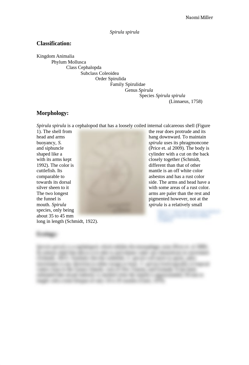 MARB435_Mollusc_Spirula_Miller.docx_dw30hdq3qxt_page1