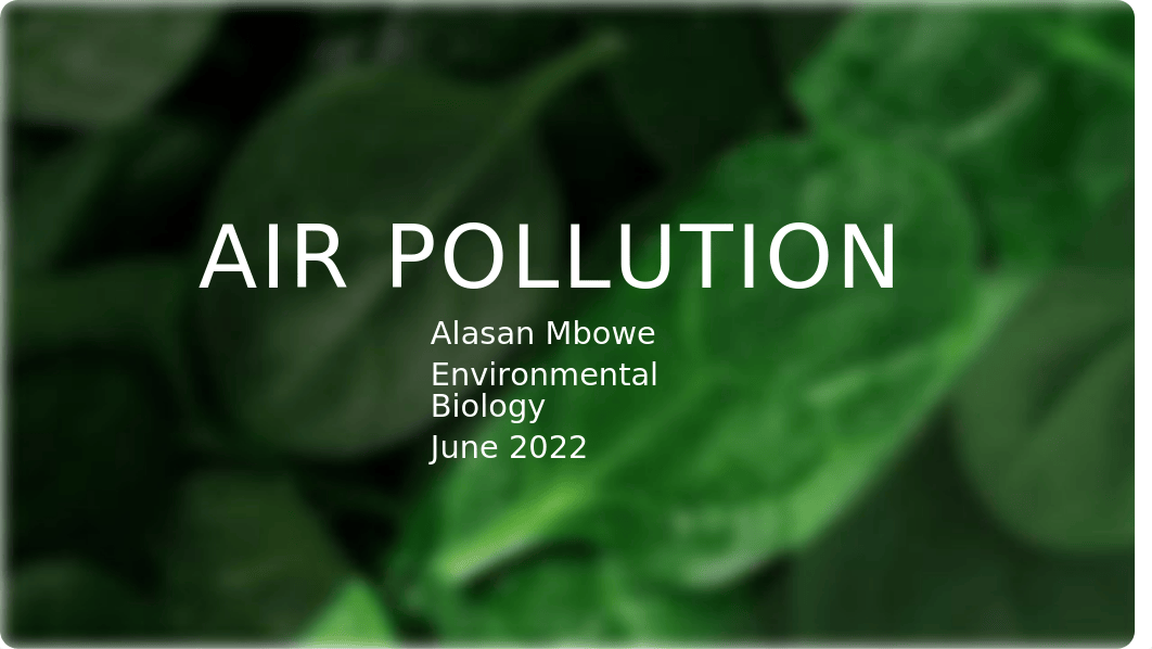 Air pollution presentation.odp_dw37l7w0l5j_page1