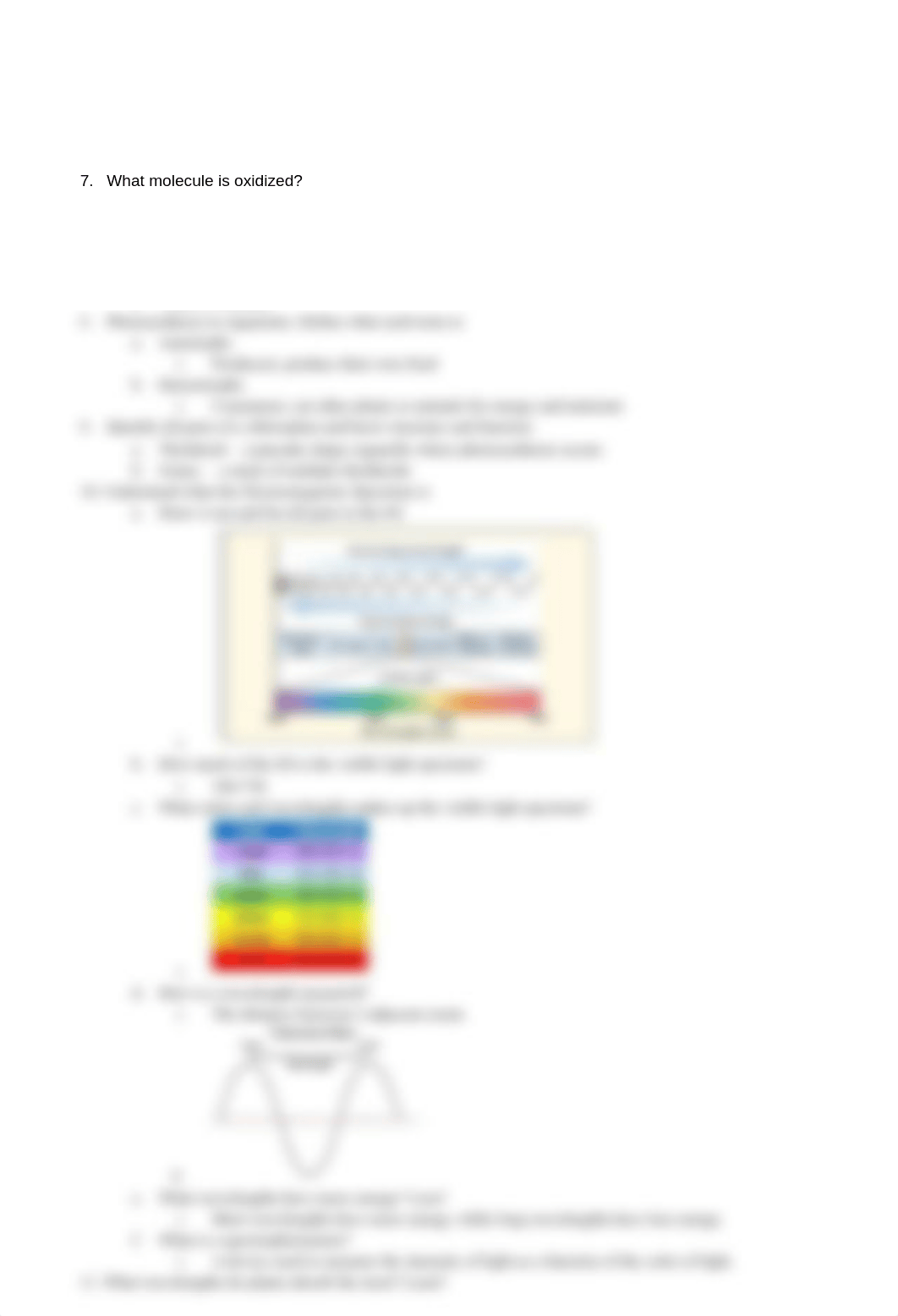 BIOL 1406 CH 7 Photosynthesis Outline.docx_dw39x8kd6wt_page2