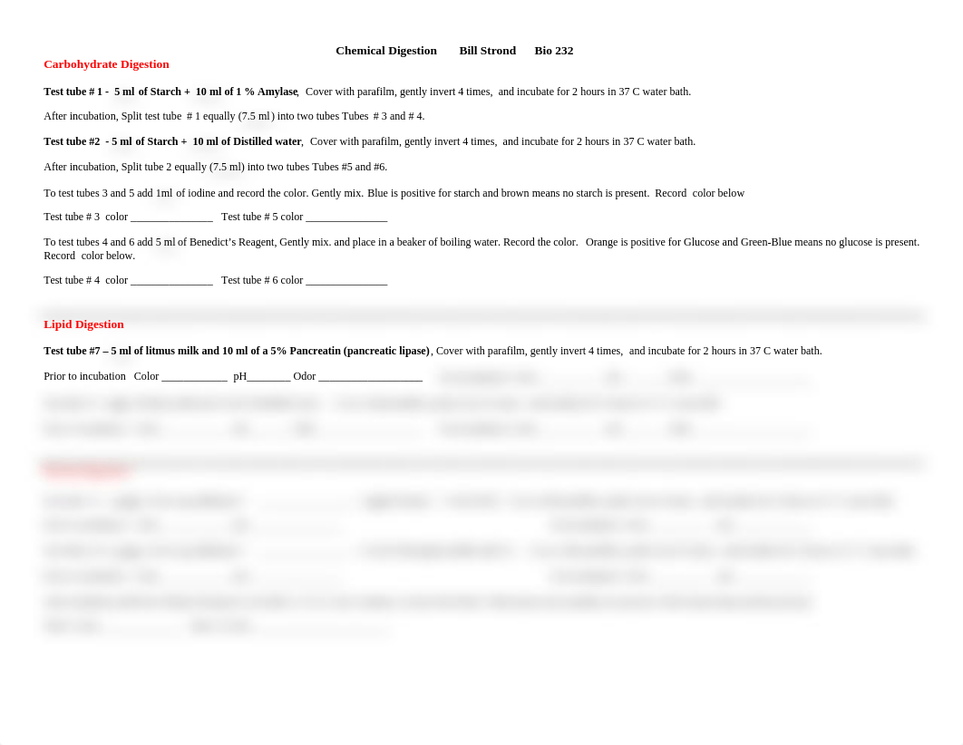 Chemical Digestion Lab Sheet.doc_dw3icz3jwm5_page1