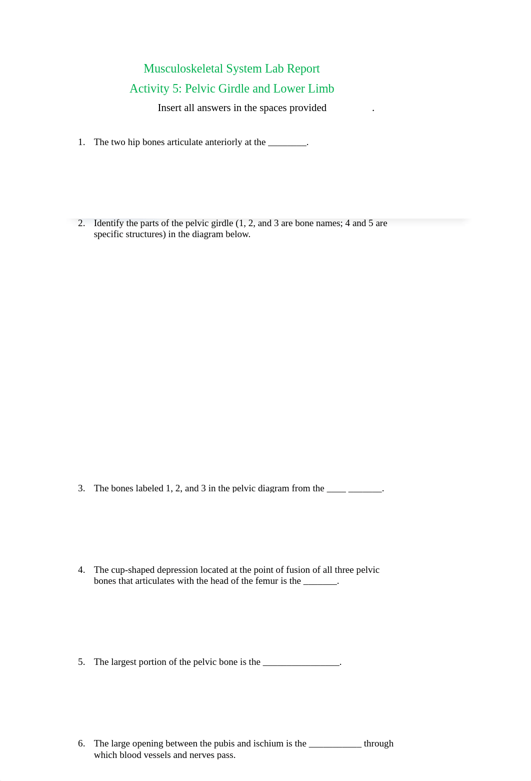 Musculoskeletal System Lab Report Activity 5____Wang.docx_dw3km738ryv_page1