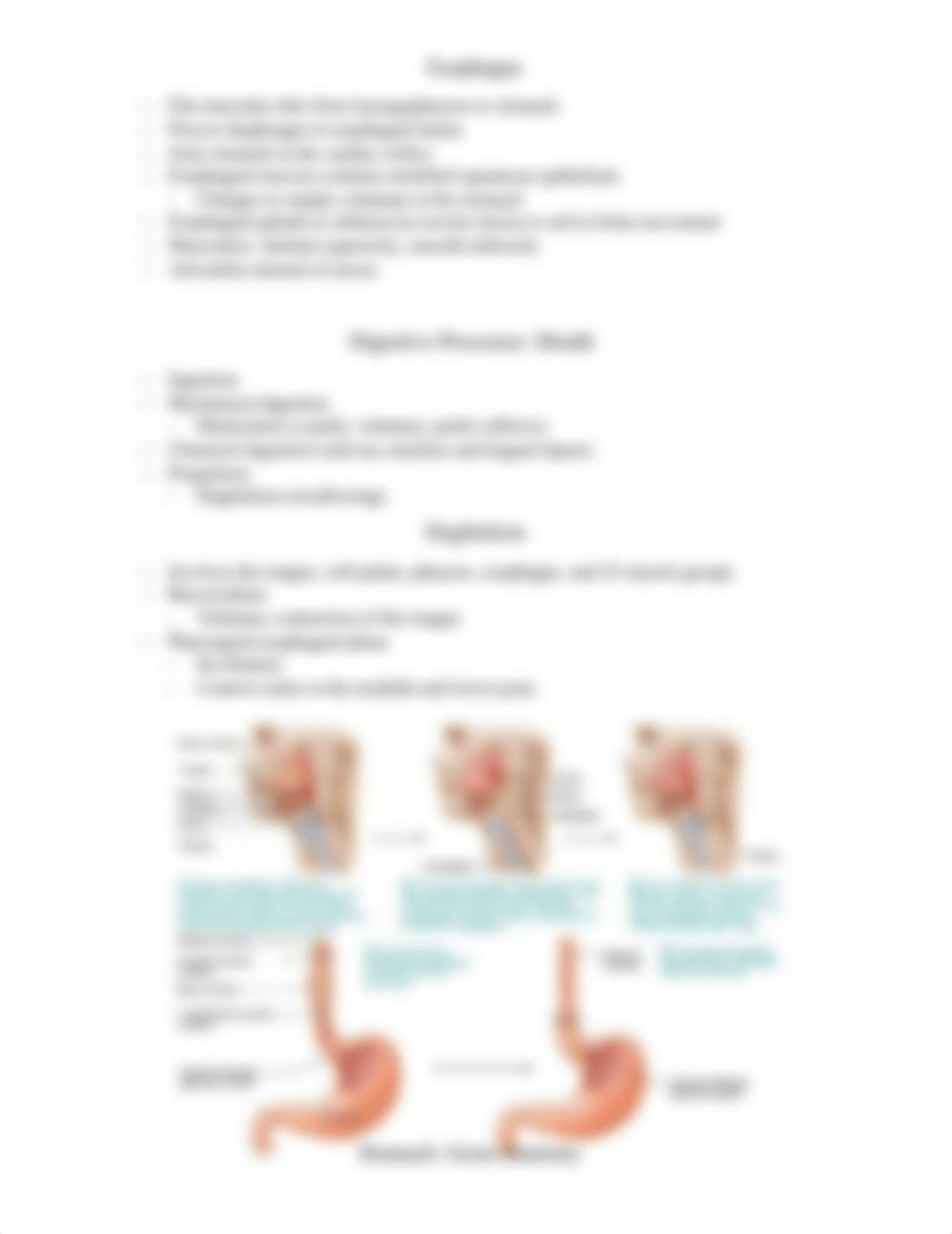 Chapter 23 Notes.docx_dw3on7q43fx_page5