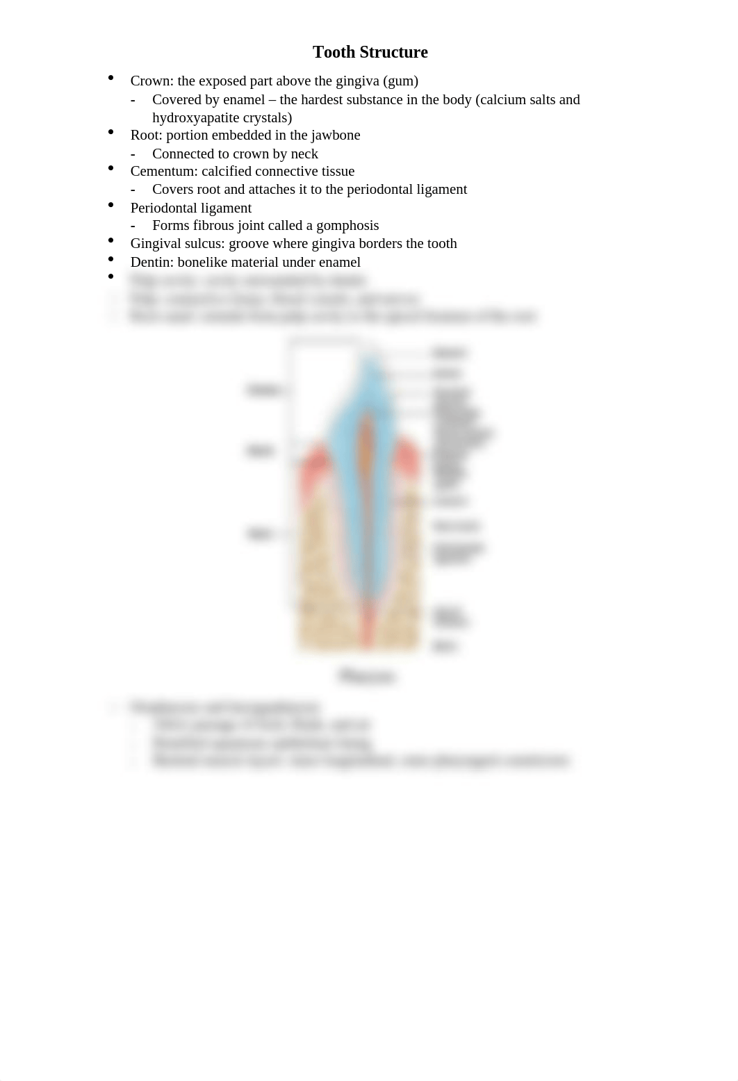 Chapter 23 Notes.docx_dw3on7q43fx_page4