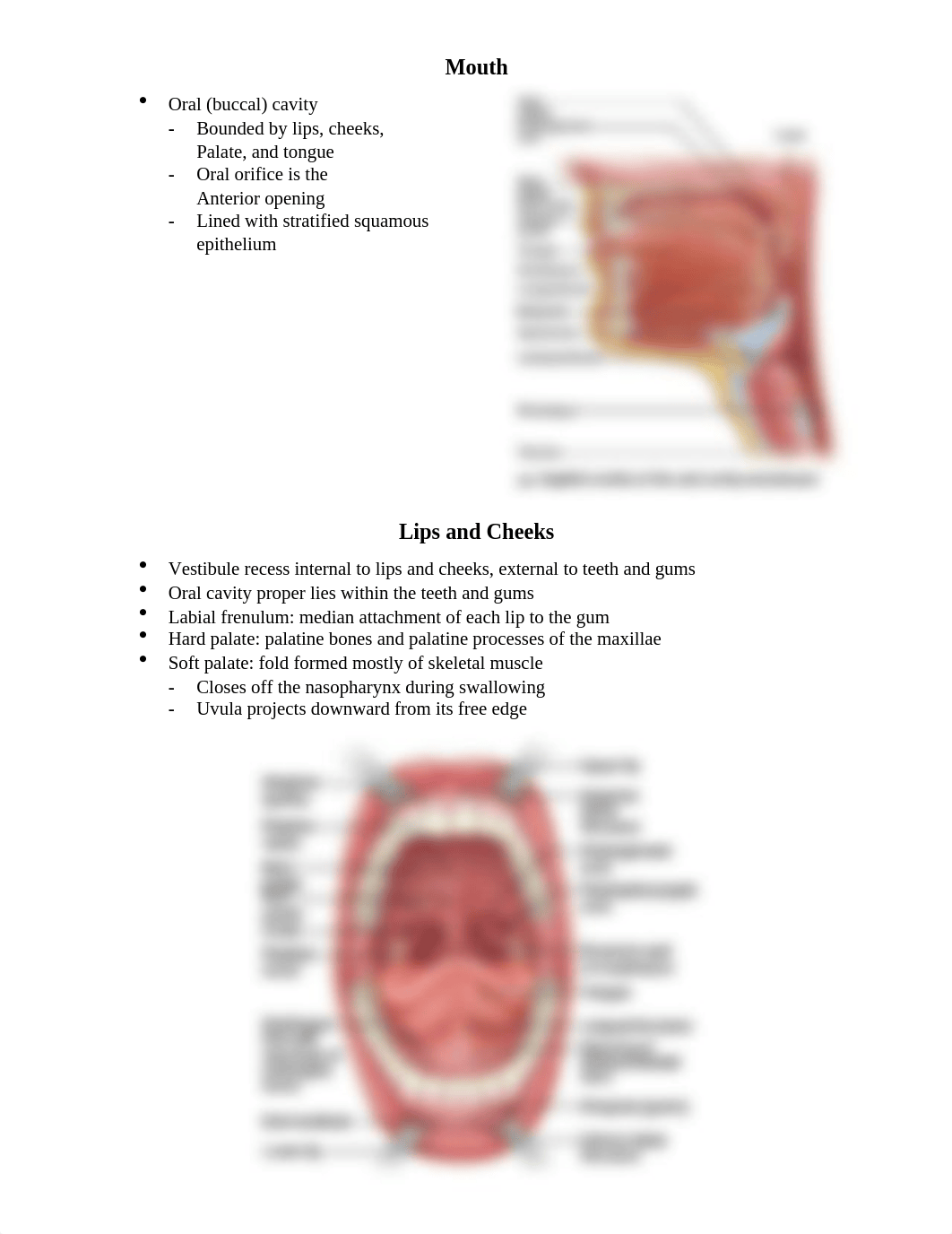 Chapter 23 Notes.docx_dw3on7q43fx_page2