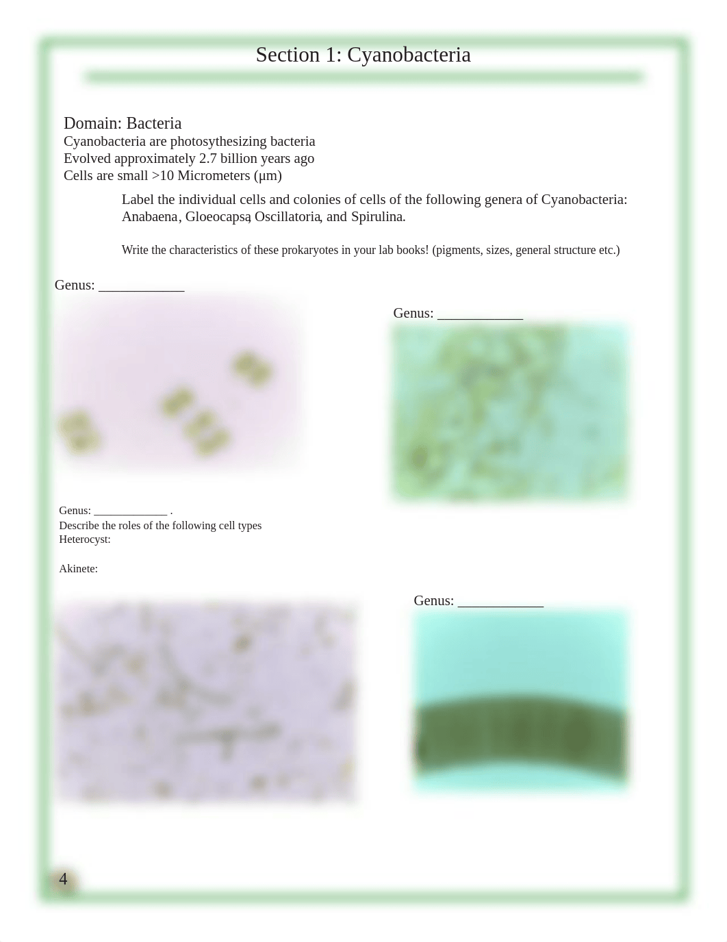 SP2017newLabbook(linked).pdf_dw3t7lu30g5_page4