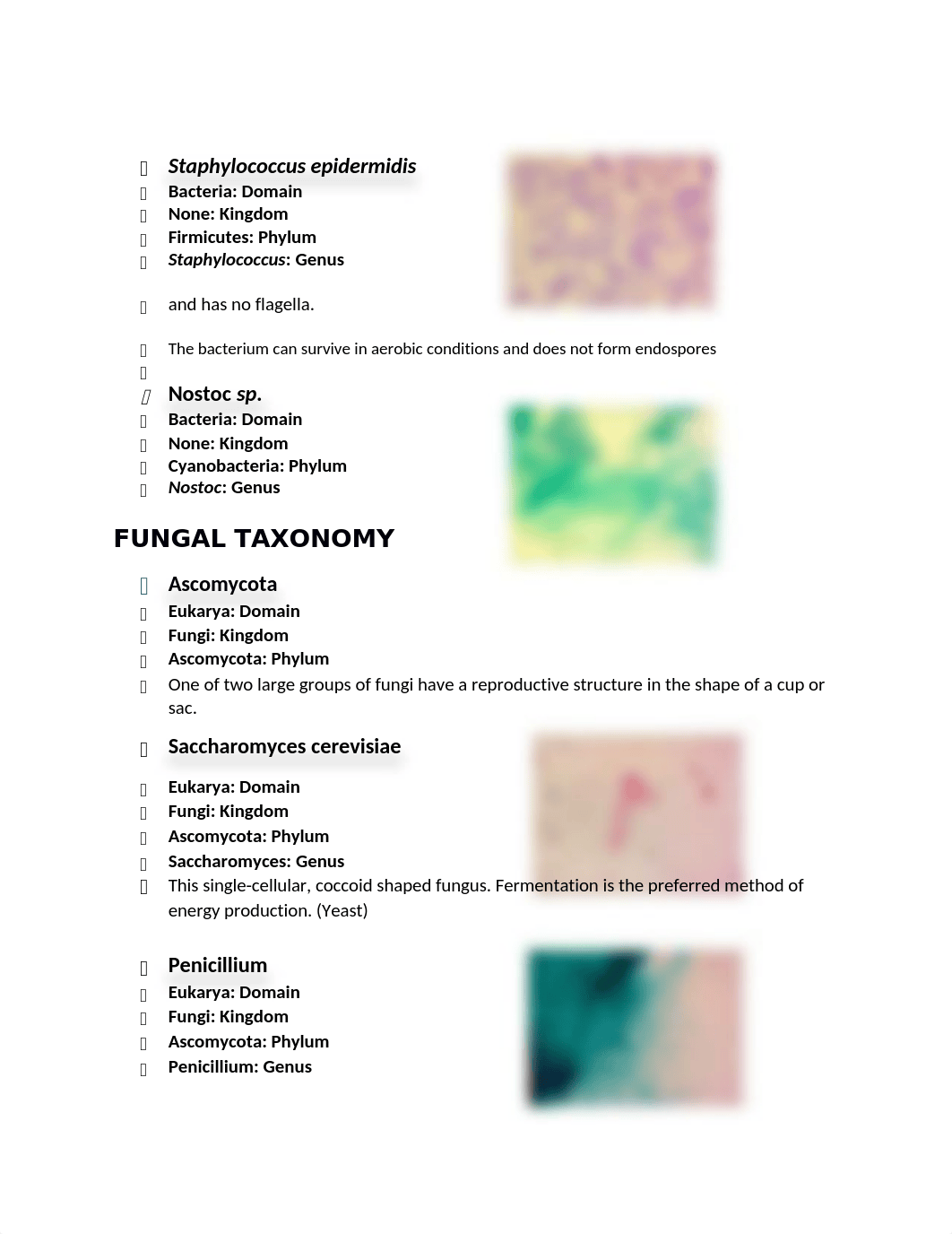 Organisms from labs 1 -6 kingdom, superphylum, phylum or class.docx_dw3uq1kjel2_page2