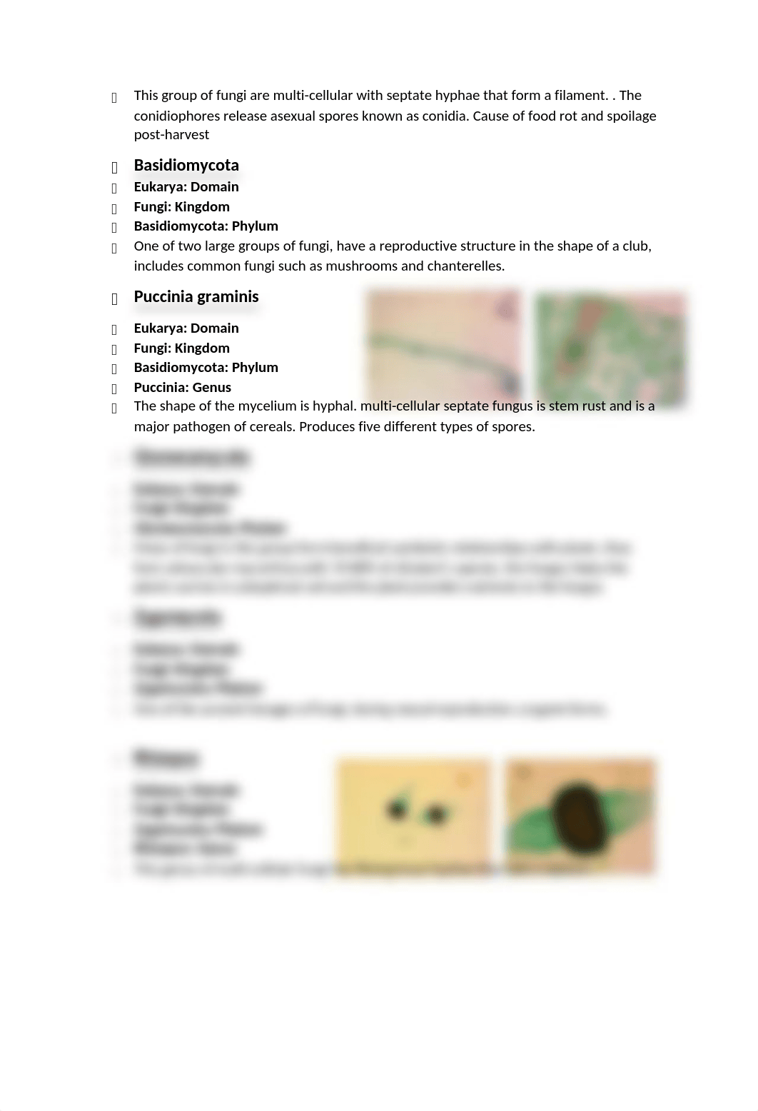 Organisms from labs 1 -6 kingdom, superphylum, phylum or class.docx_dw3uq1kjel2_page3