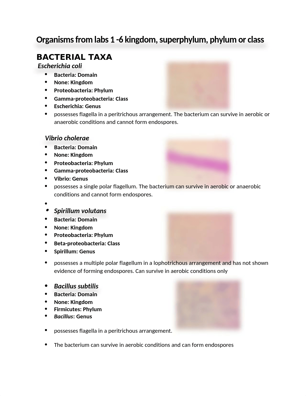 Organisms from labs 1 -6 kingdom, superphylum, phylum or class.docx_dw3uq1kjel2_page1