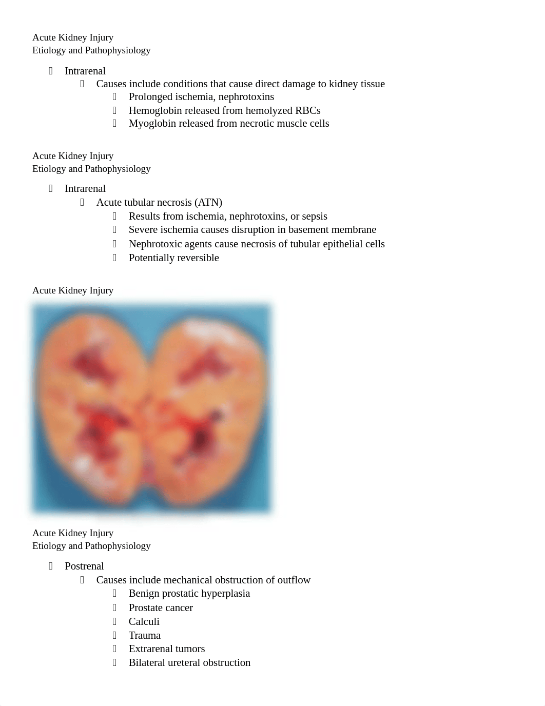 Acute Kidney Injury Chapter 46.docx_dw46cx6nn6n_page2