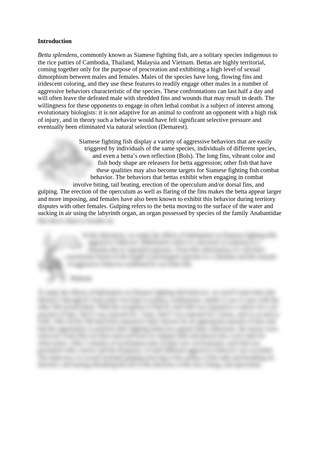 Habituation in Siamese Fighting Fish_dw47vneftul_page2