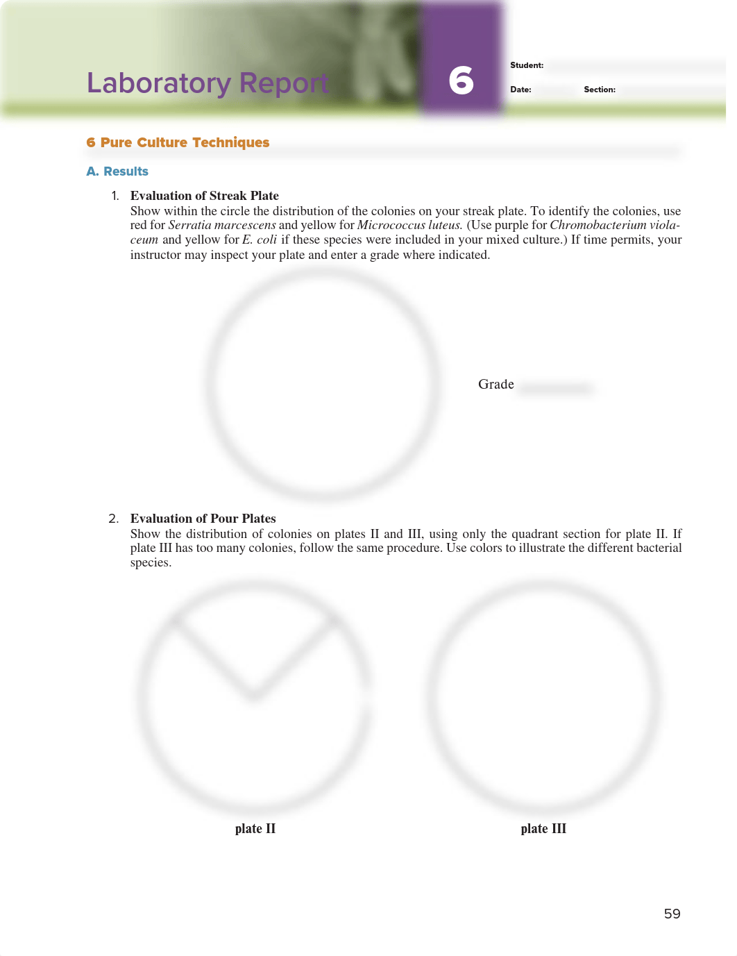 Exercise 06 Lab ReportMB.pdf_dw48ypucode_page1