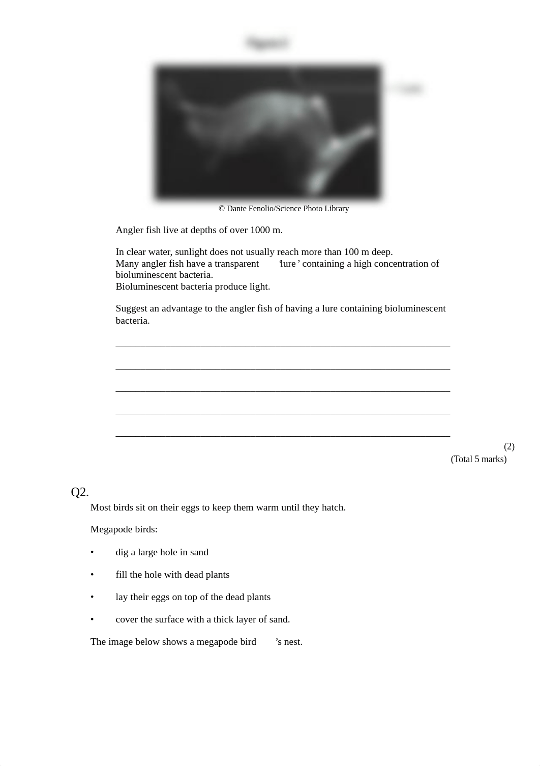 Adaptation-1.pdf_dw4a5tu0alk_page2