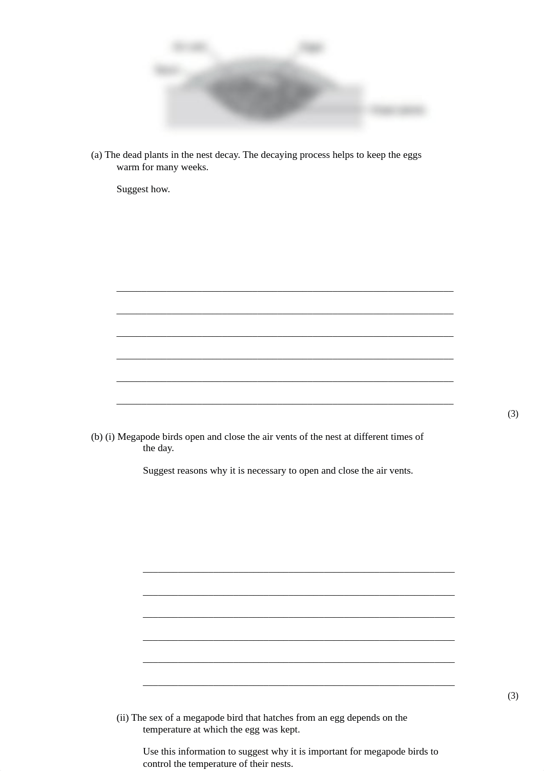 Adaptation-1.pdf_dw4a5tu0alk_page3