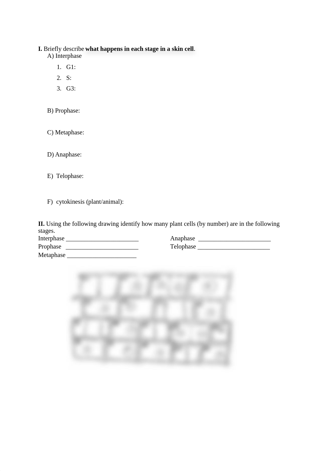 Cell Division-Mitosis and Meiosis Worksheet (1).docx_dw4aeqna2r0_page2