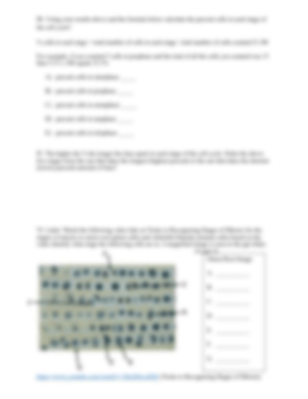 Cell Division-Mitosis and Meiosis Worksheet (1).docx_dw4aeqna2r0_page3