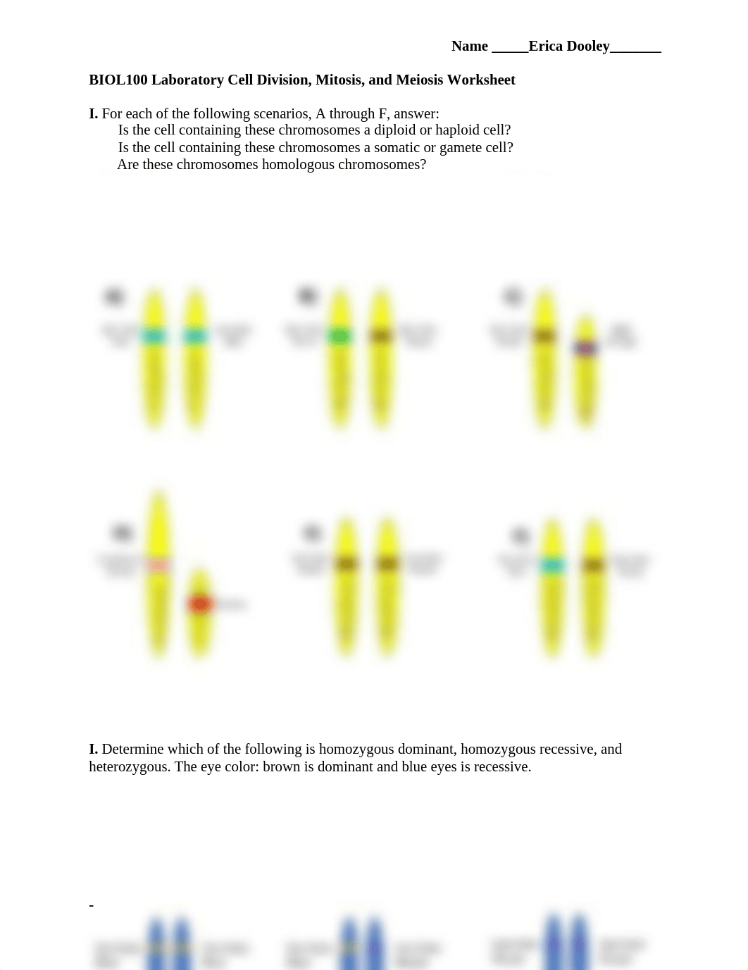 Cell Division-Mitosis and Meiosis Worksheet (1).docx_dw4aeqna2r0_page1