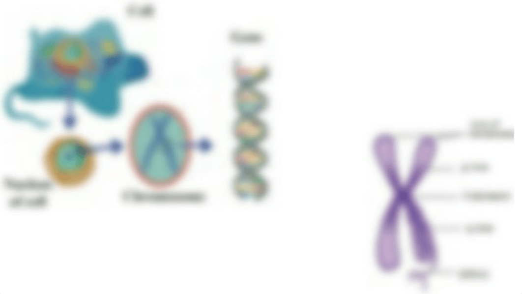 12th bio ch3.pdf_dw4euzy0v6x_page4