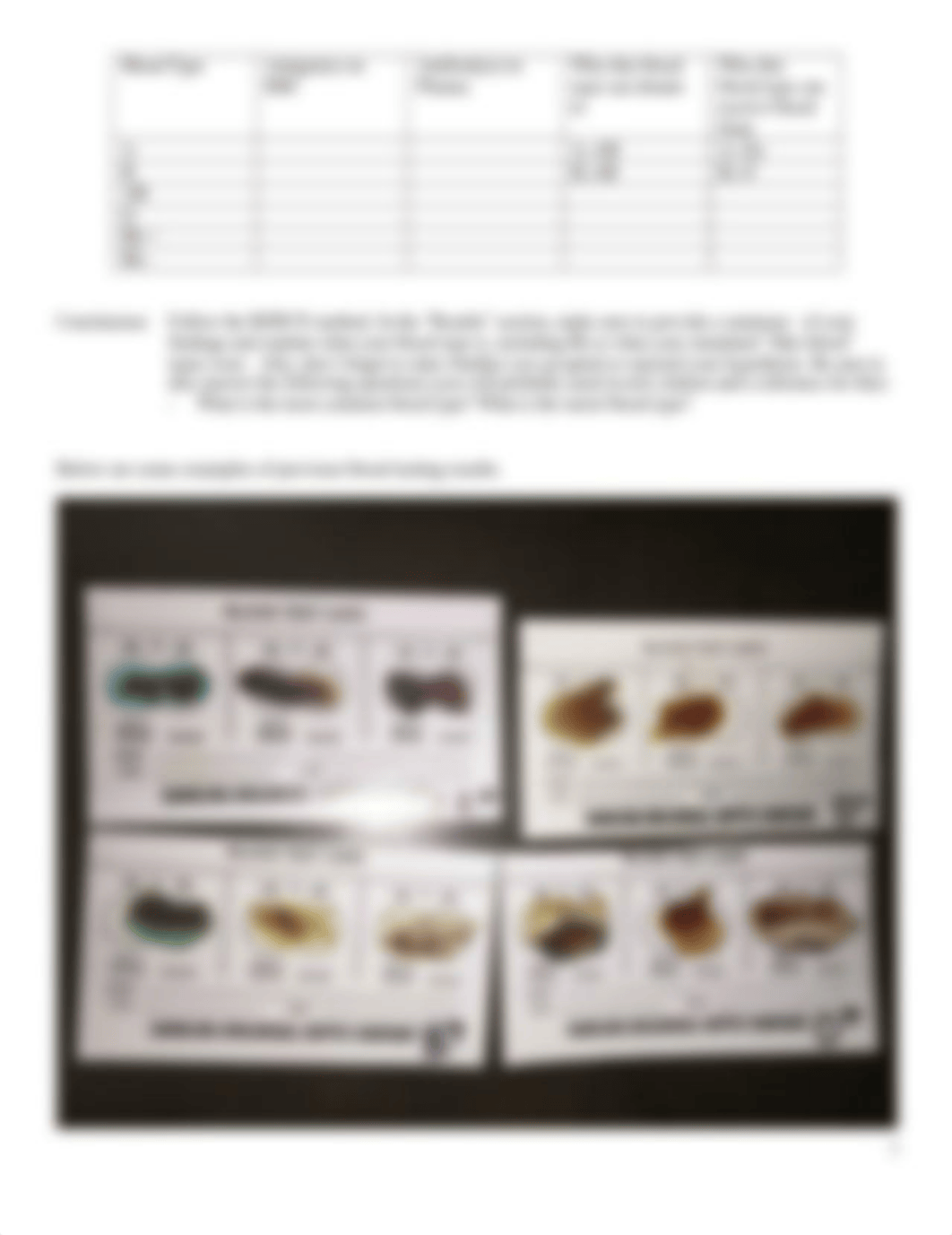 Physical Lab 3 - Blood Typing.docx_dw4giug96lw_page2