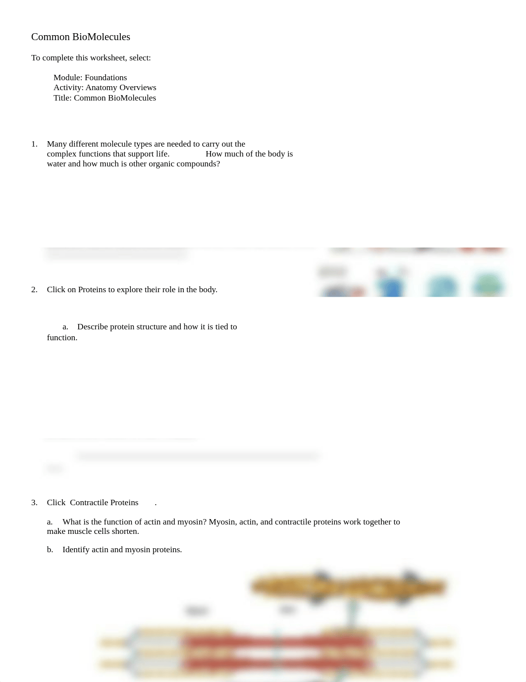 chem_bio (1).doc_dw4gtfpo3ix_page1