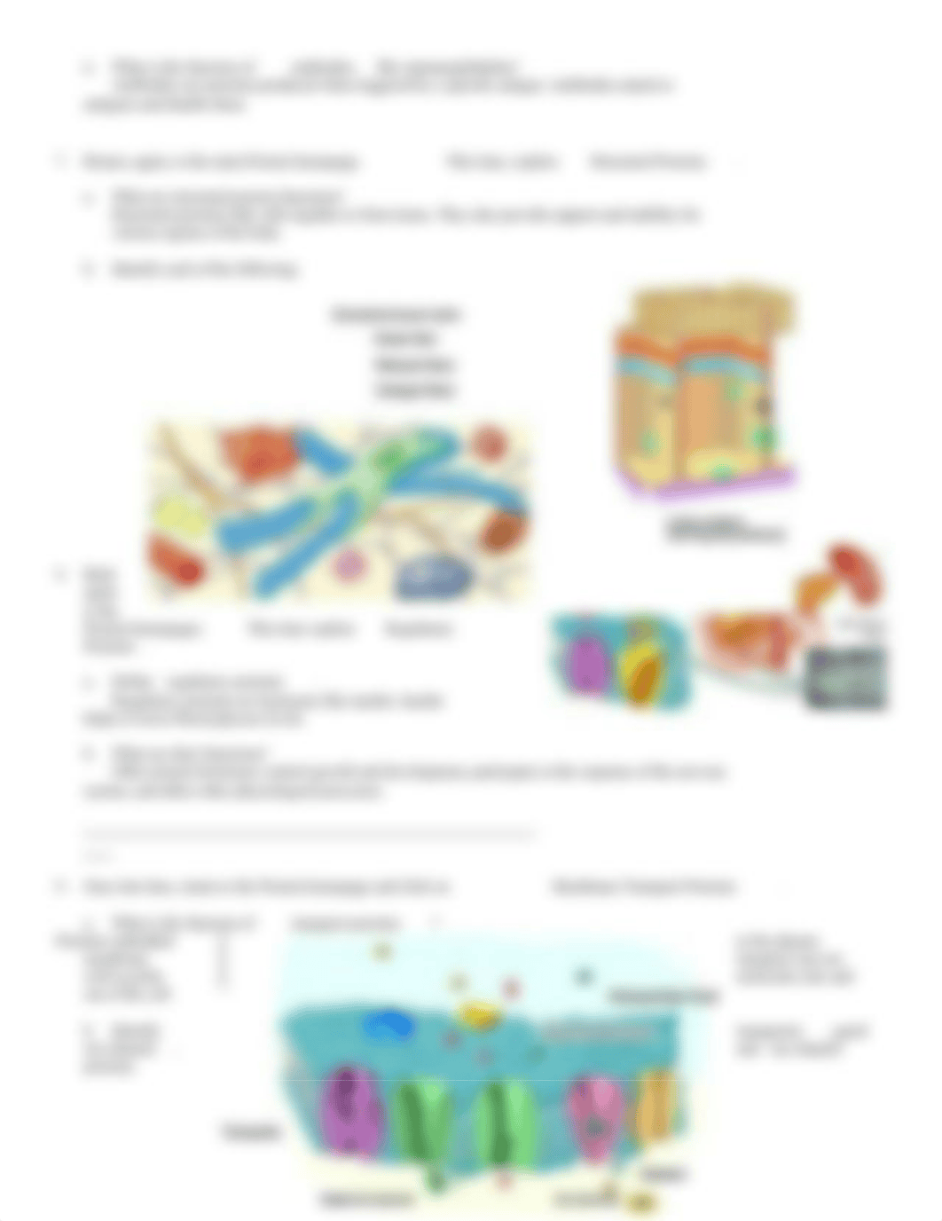 chem_bio (1).doc_dw4gtfpo3ix_page3