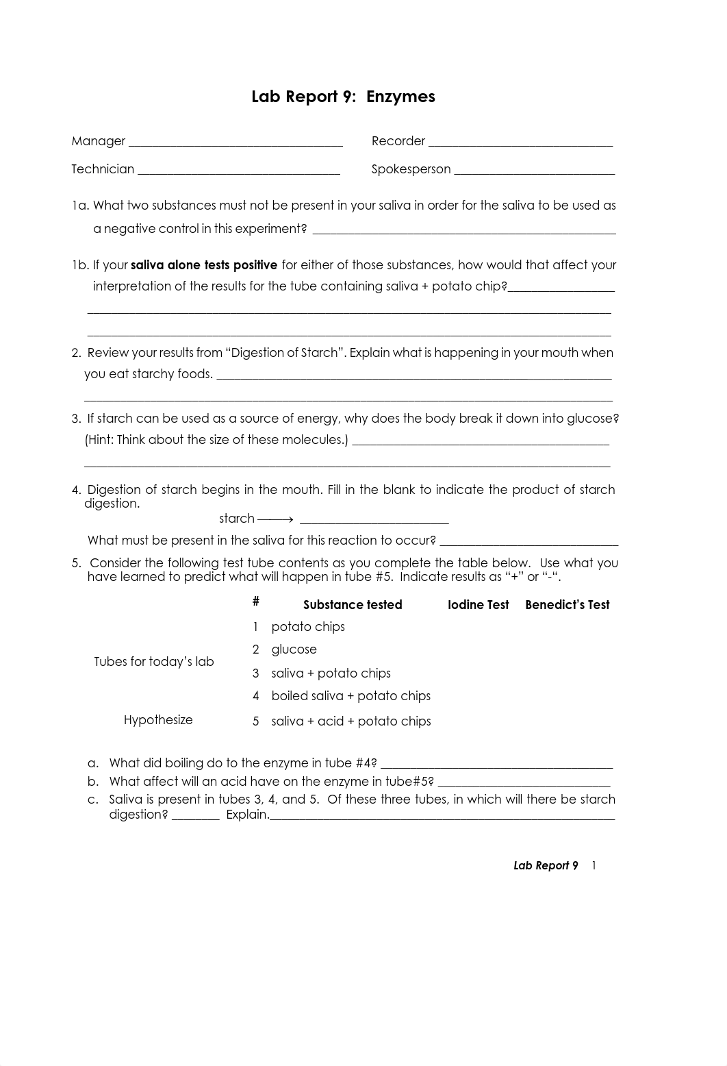 (Updated) 09 Lab Report 9 Enzymes.pdf_dw4to7x6z6a_page1