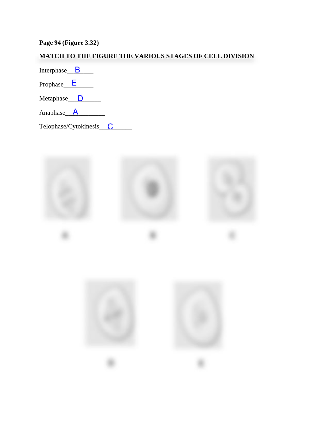 Lab Packet #2.pdf_dw4x45o6jvu_page4