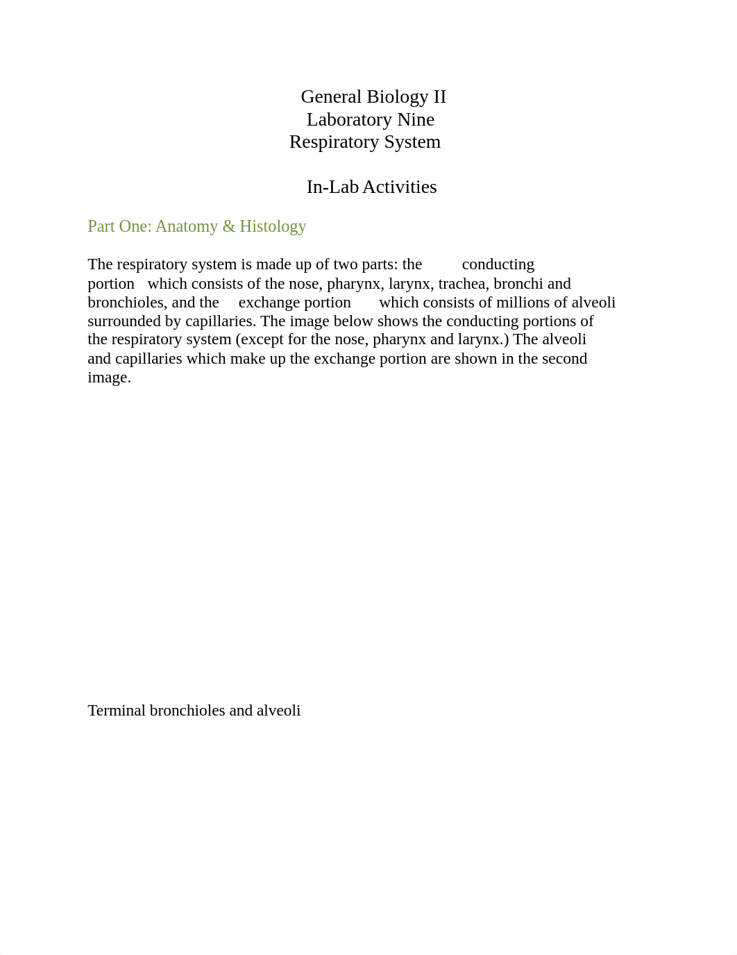 Bio II lab 9.docx_dw5ips53qu8_page4