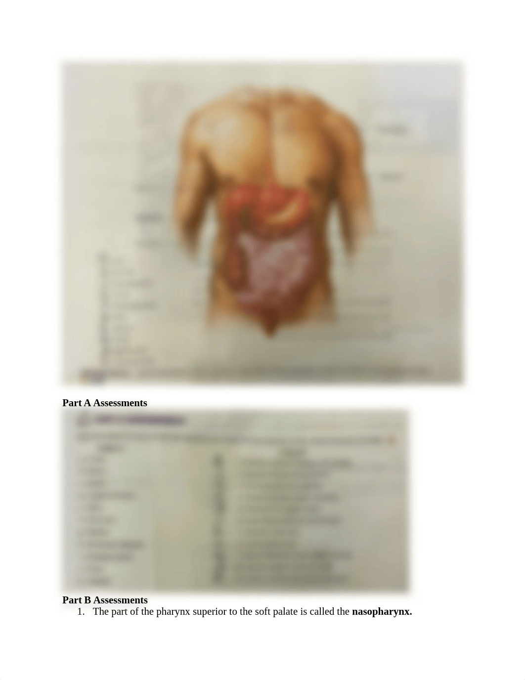 lab module 5.docx_dw5o3u6tz9k_page4