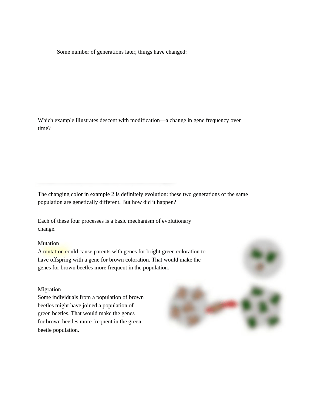 7F - Genetic Drift, Gene Flow, Mutation & Recombination.pdf_dw5o73p92wx_page2