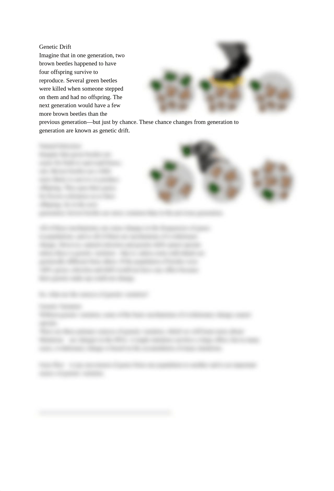 7F - Genetic Drift, Gene Flow, Mutation & Recombination.pdf_dw5o73p92wx_page3