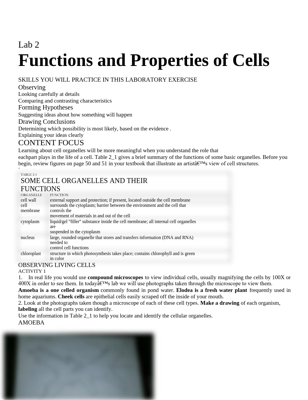 Cell lab-Finished_dw5rnldrbh7_page1